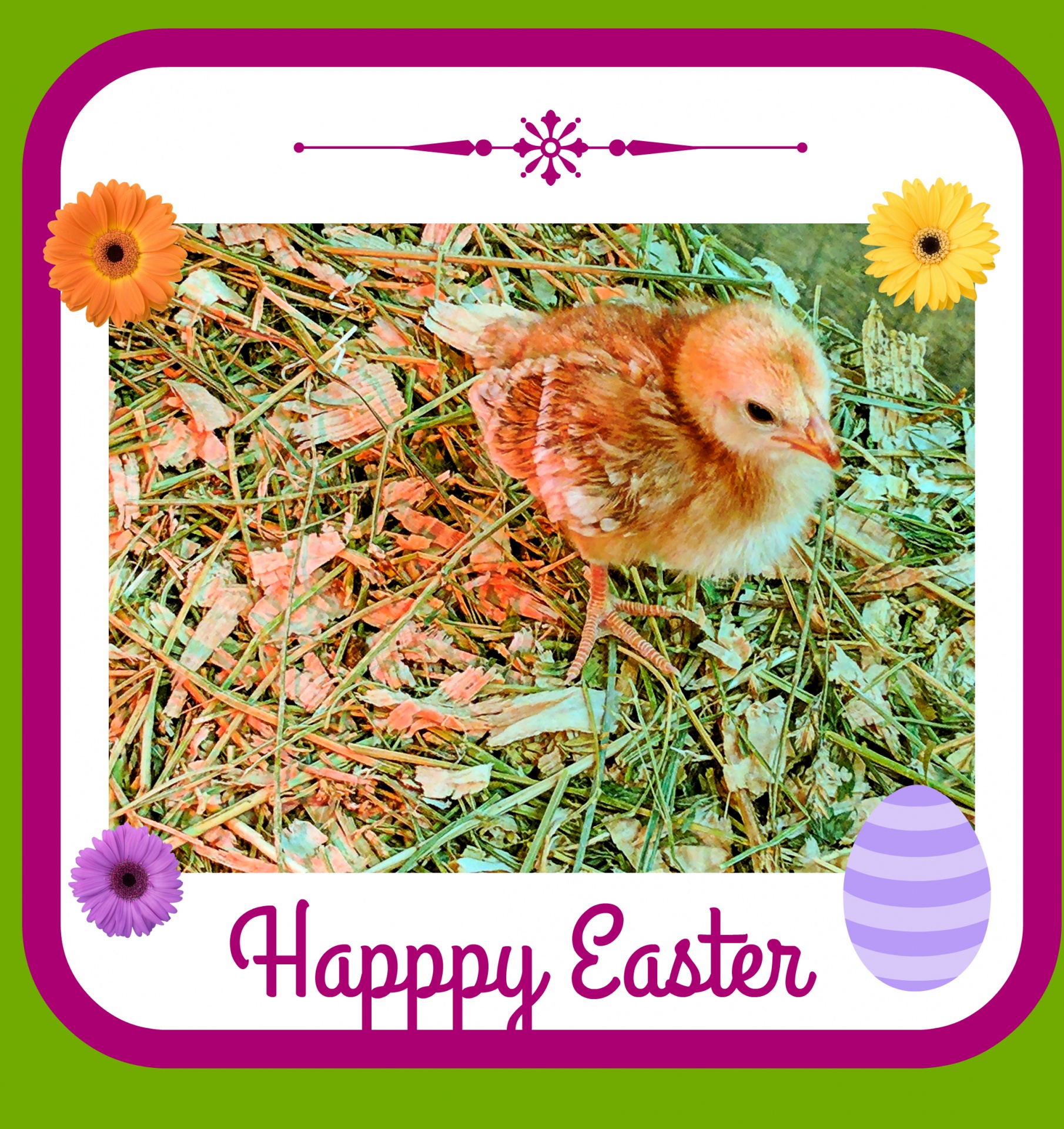easter happy easter holiday free photo