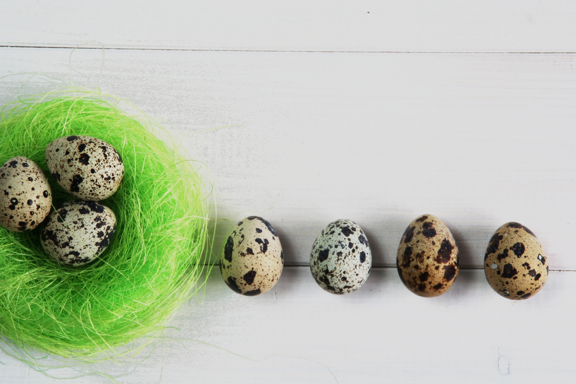 easter eggs egg quail free photo