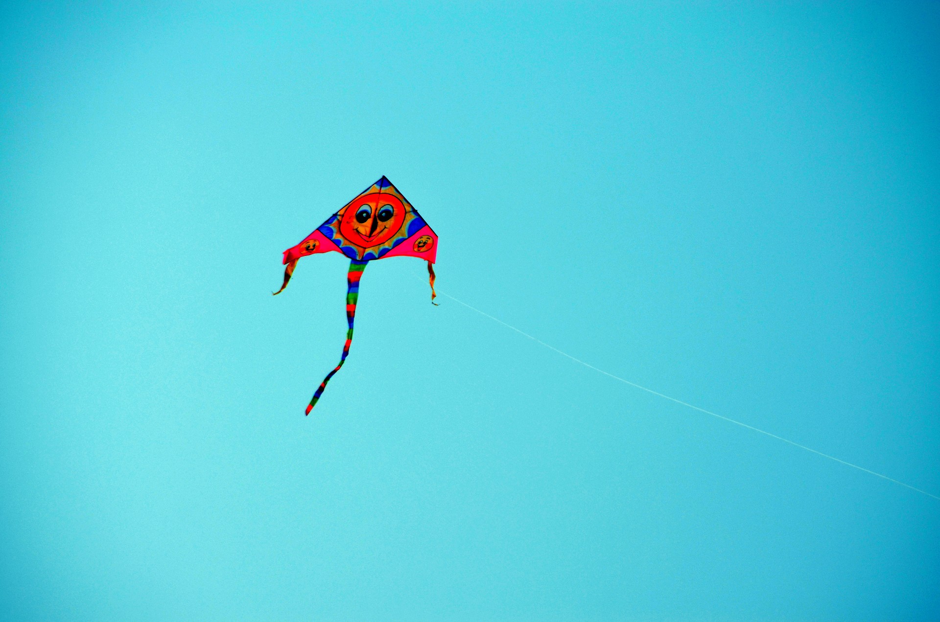 kite sky fly free photo