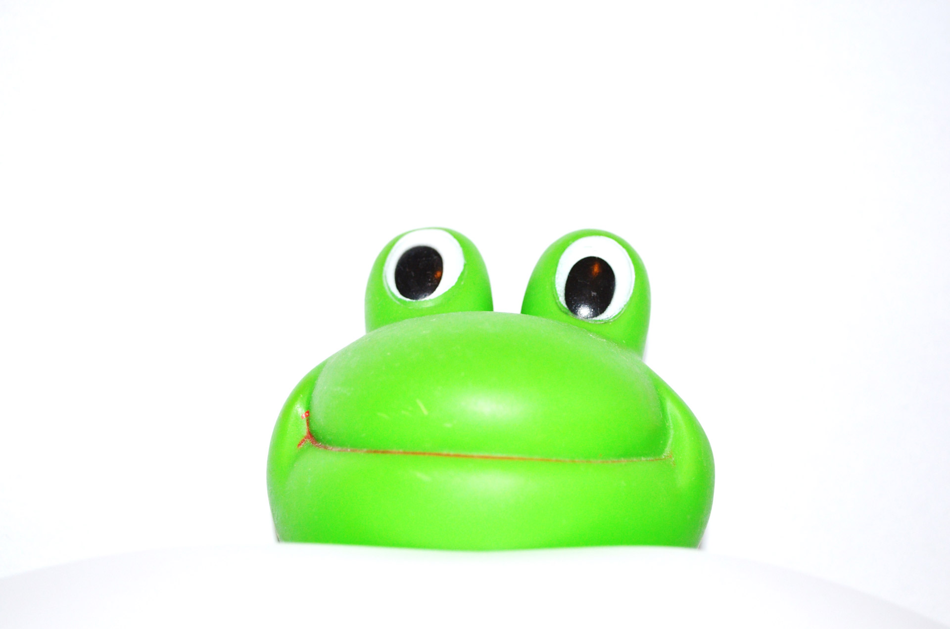 frog happy green free photo