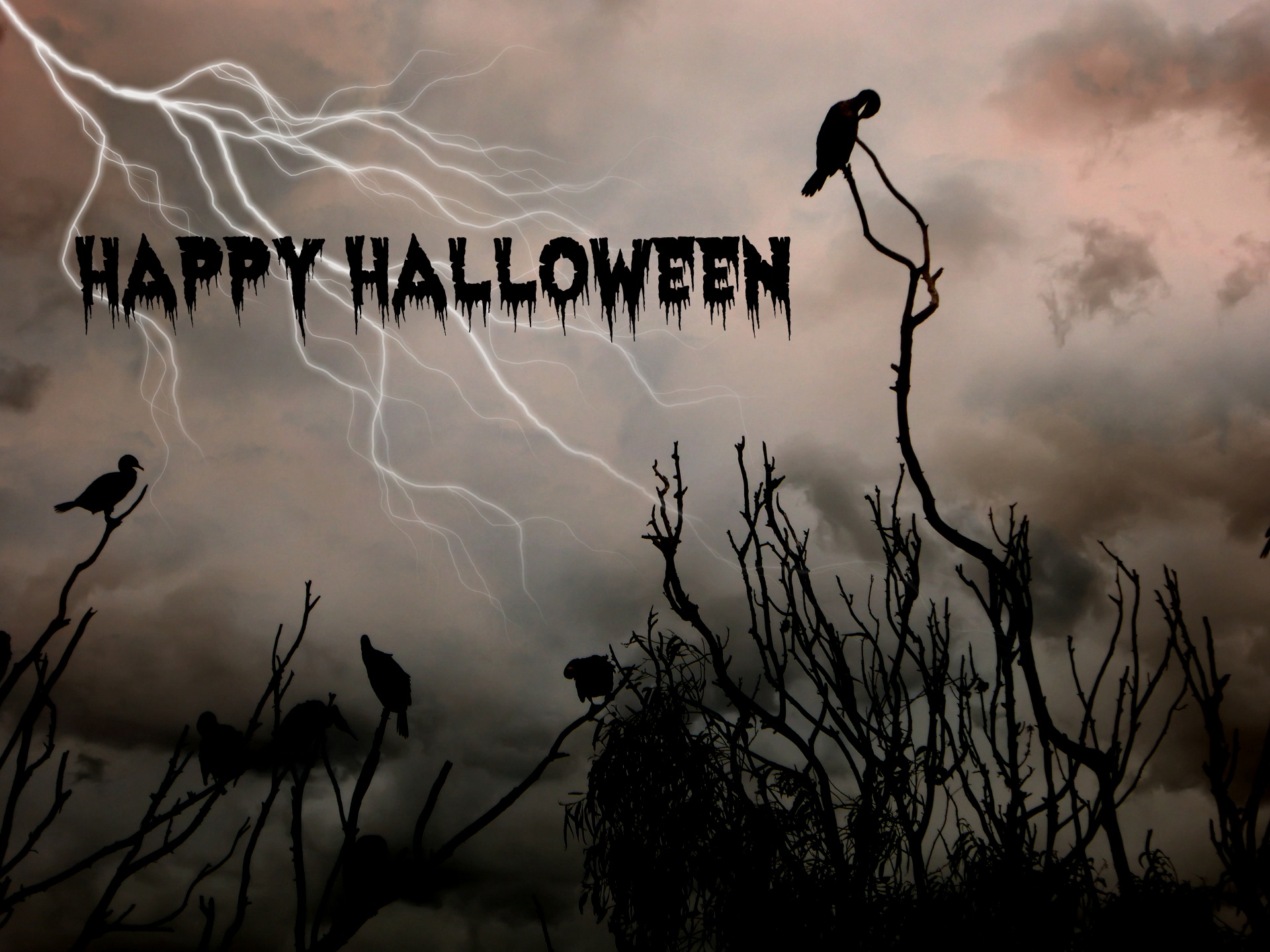 halloween scary october free photo