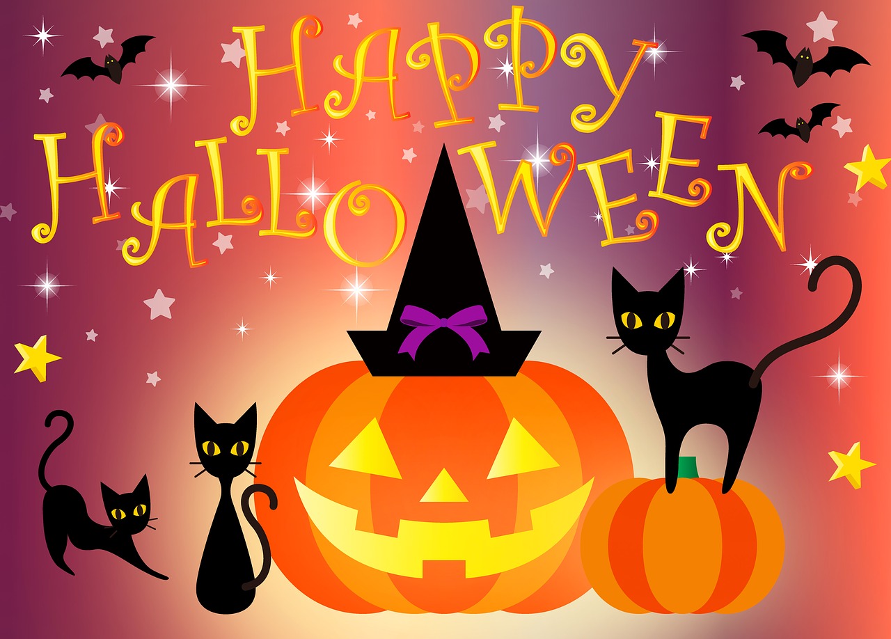 happy halloween  black cat  pumpkin free photo