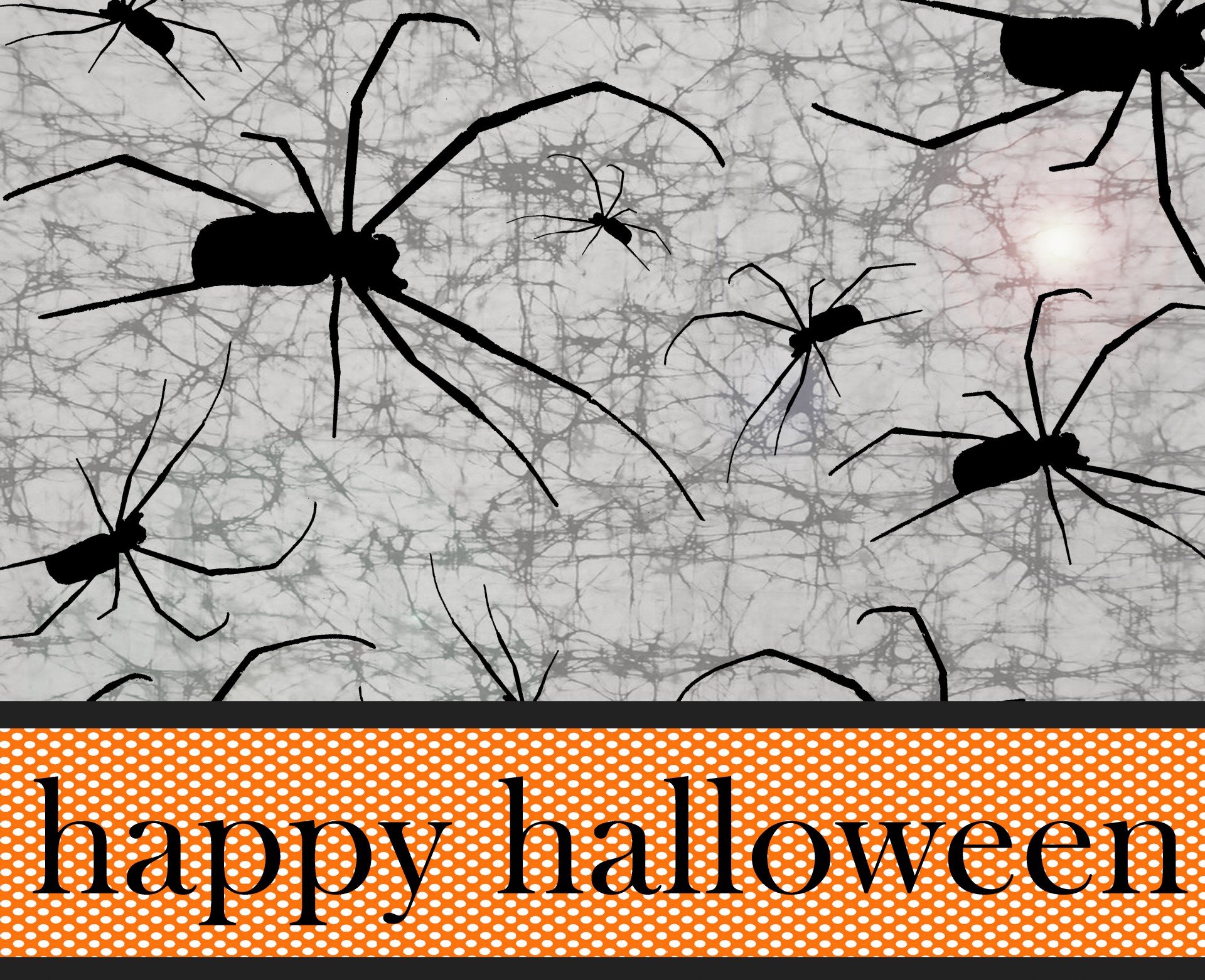 happy halloween spiders free photo