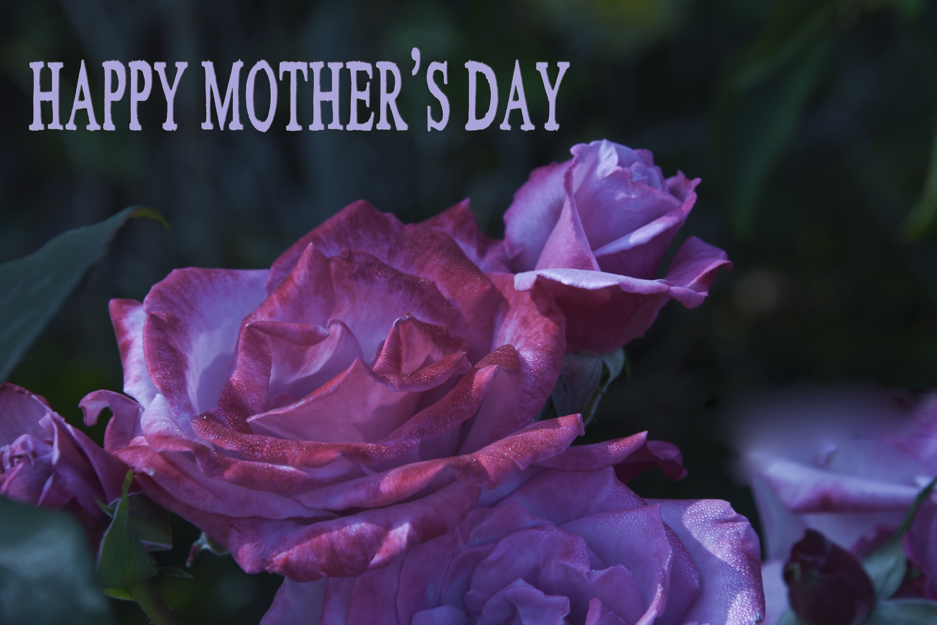 card greeting mother's day free photo