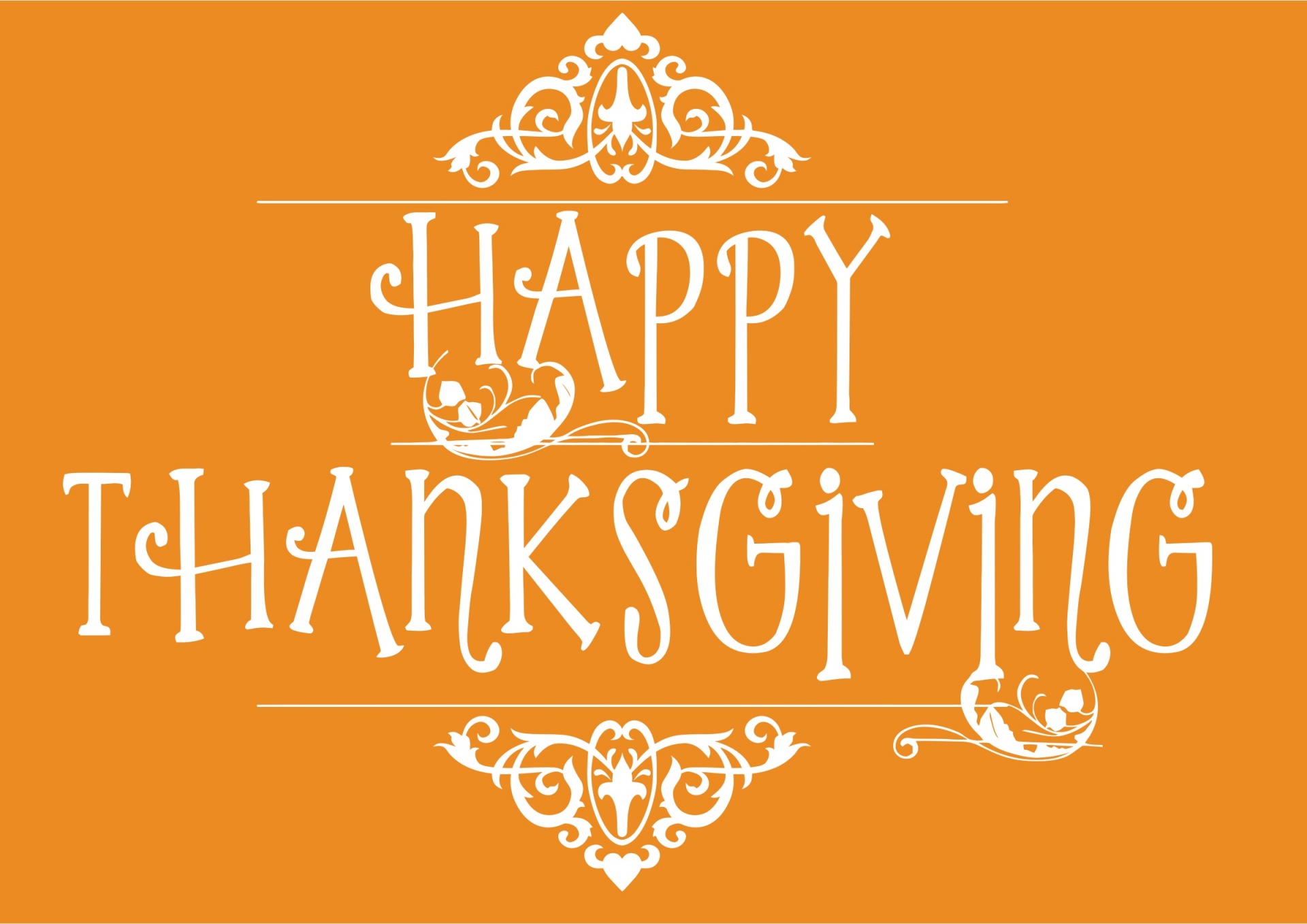 thanksgiving happy typography free photo
