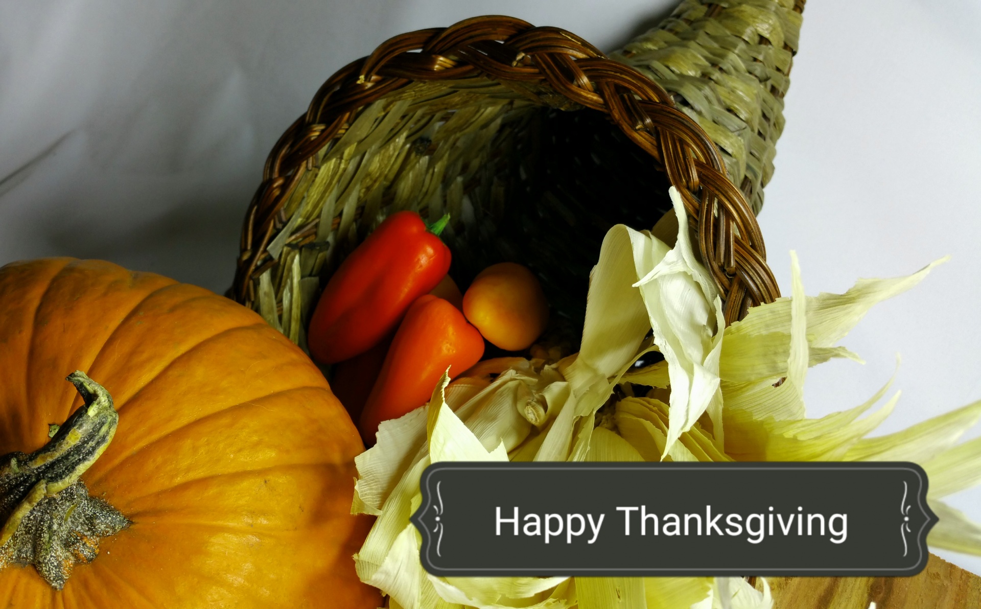 thanksgiving abundance cornucopia free photo