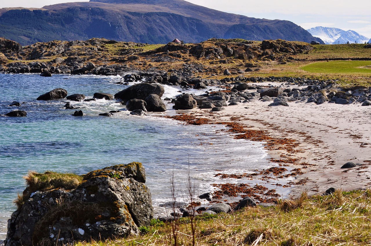 harasmsøya raviska beach free photo