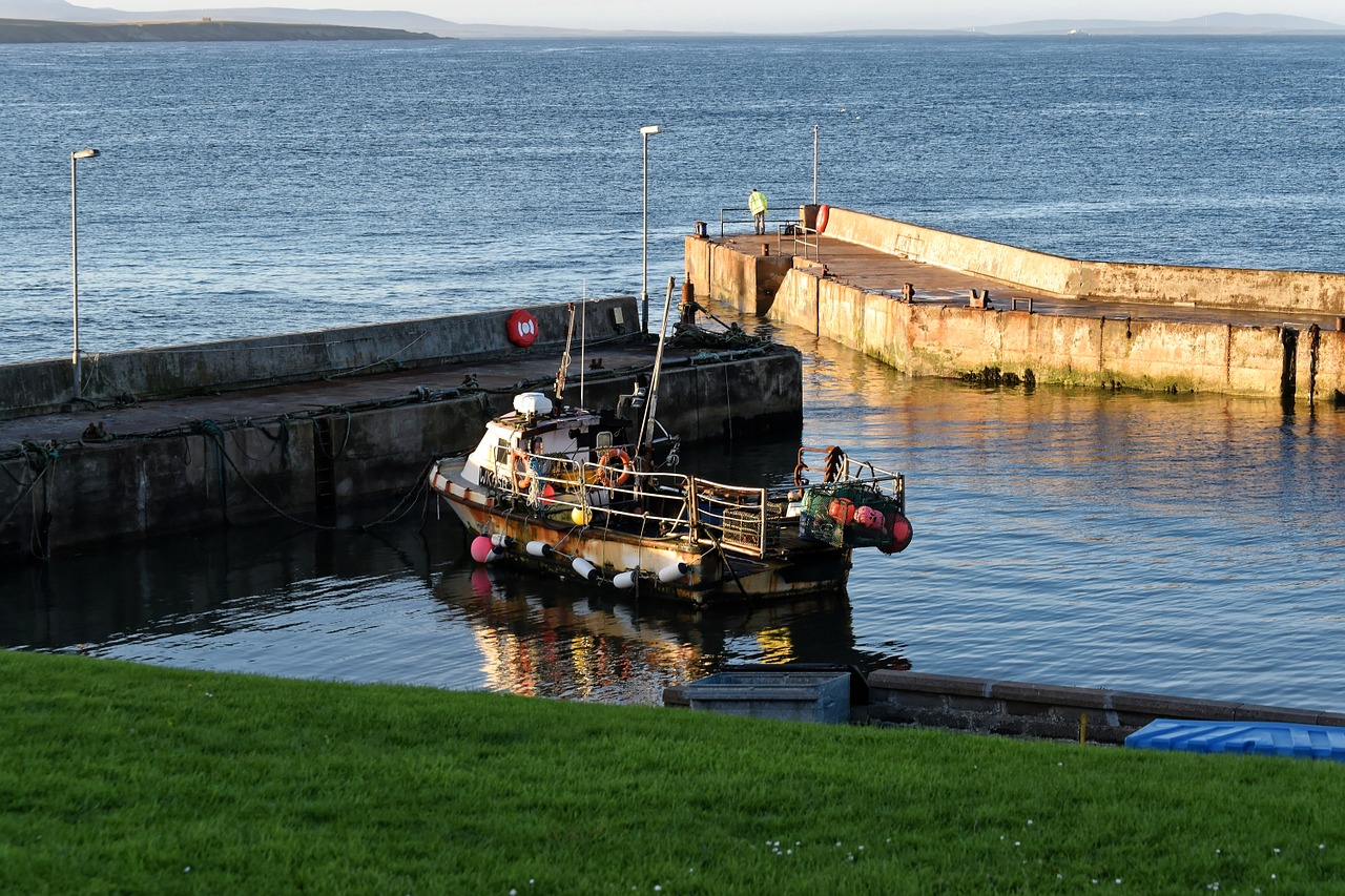 harbor harbour fishing free photo