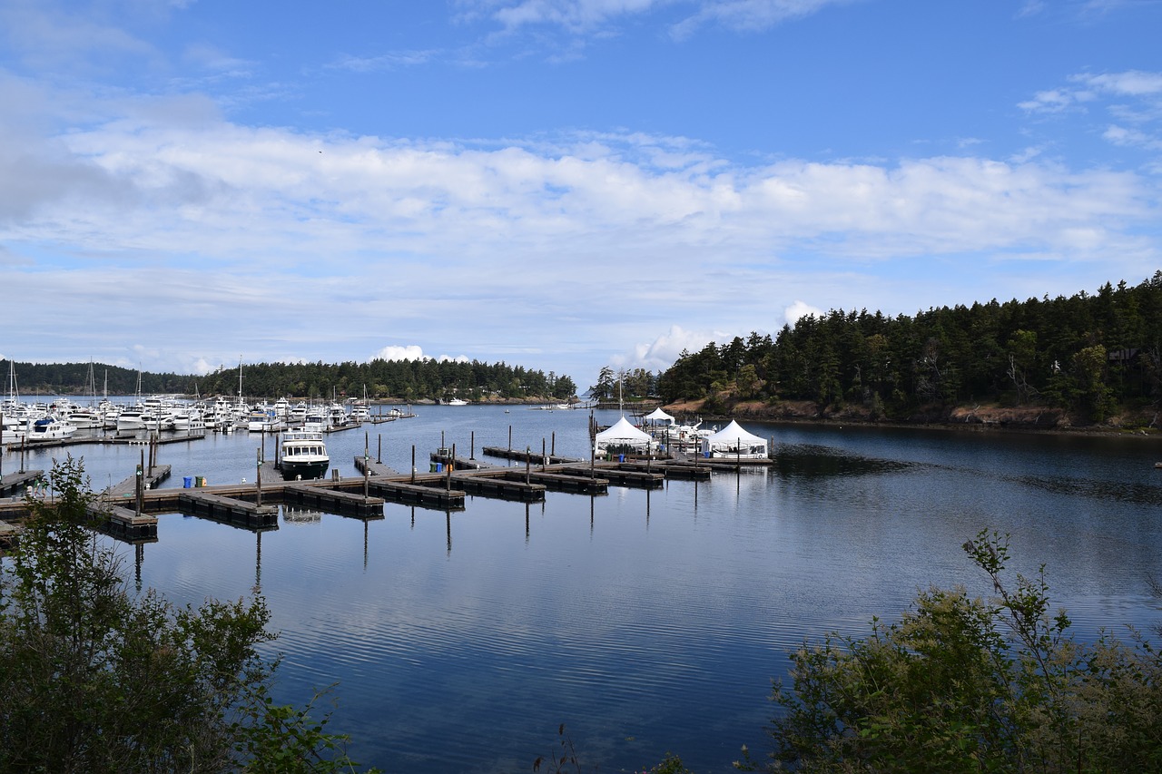 harbor washington boats free photo