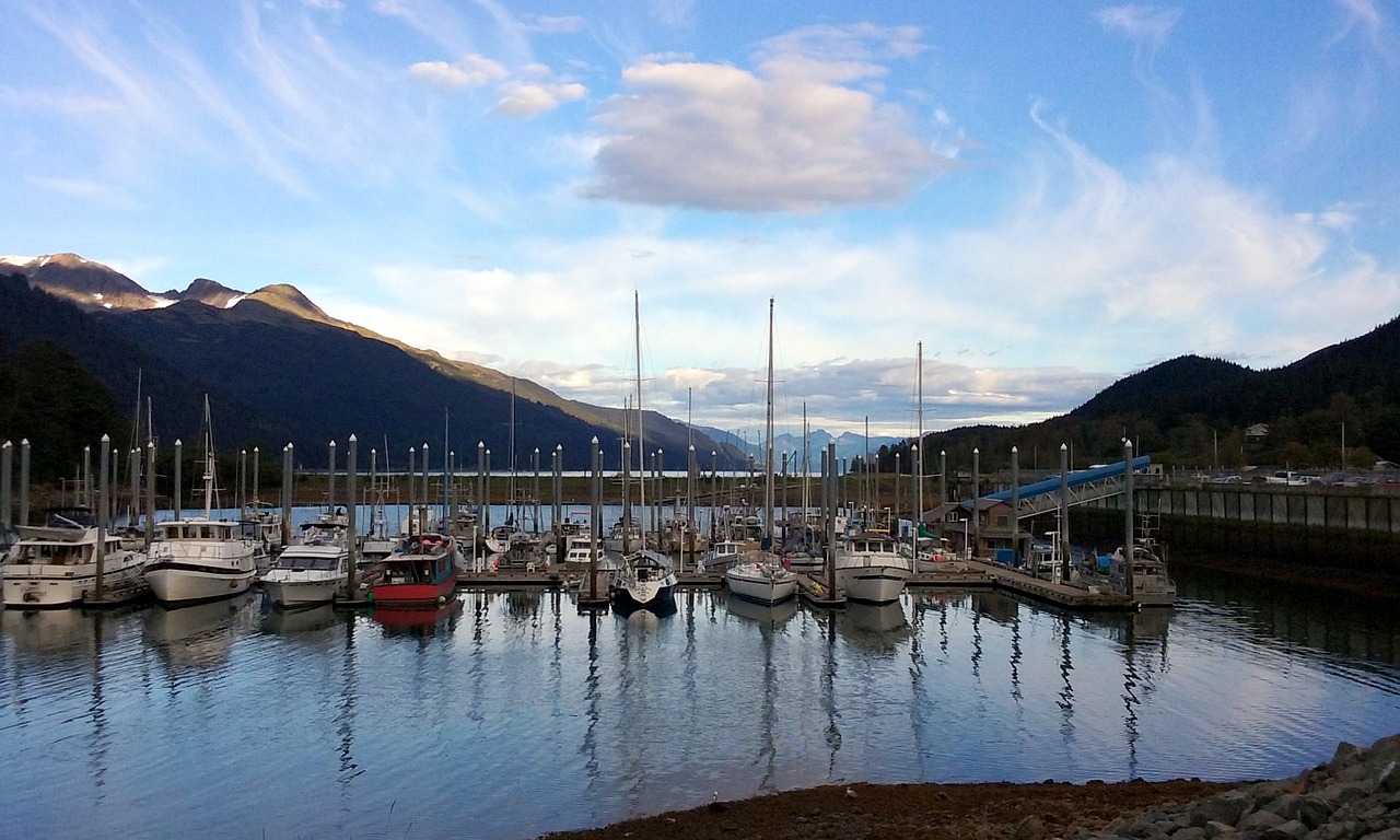 harbor boats water free photo