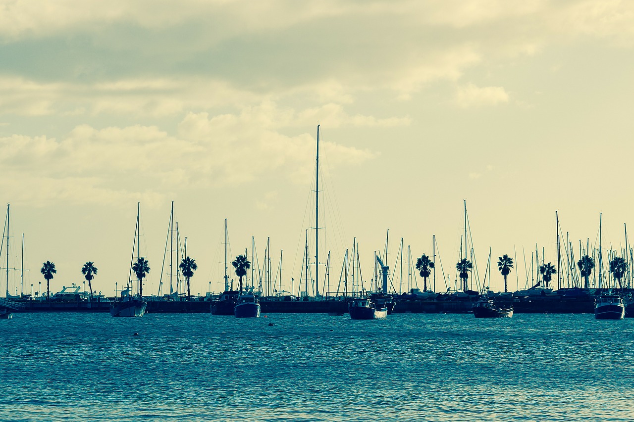 harbor port sailing boats free photo