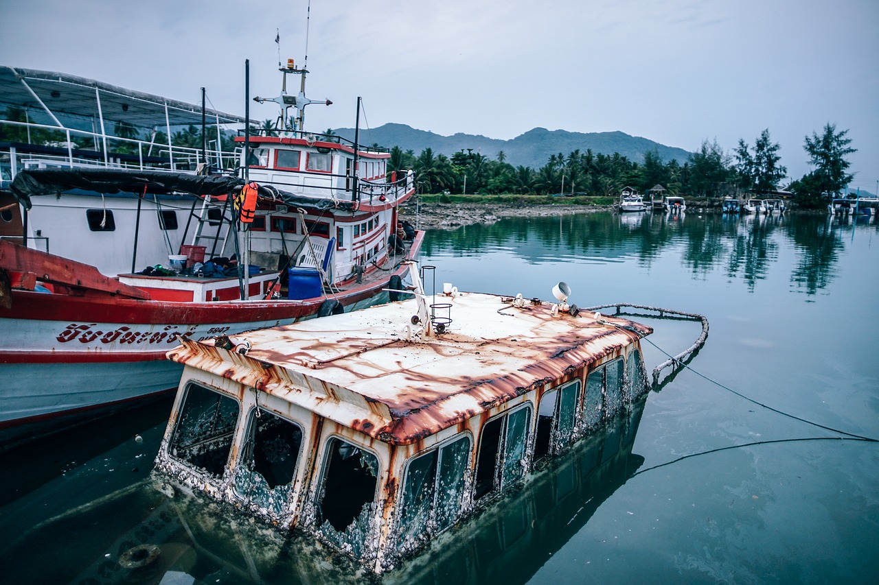 harbor  boat  water free photo