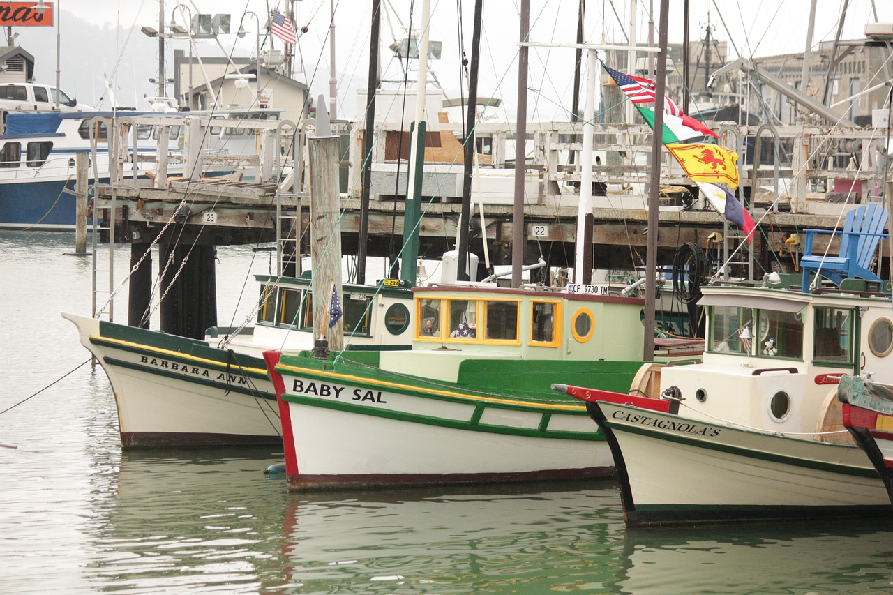 harbor  boats  port free photo