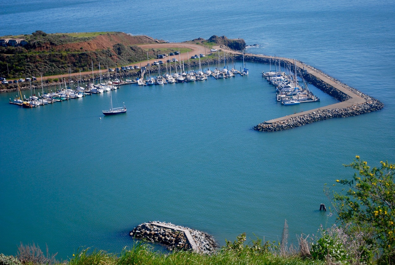 harbor boats water free photo