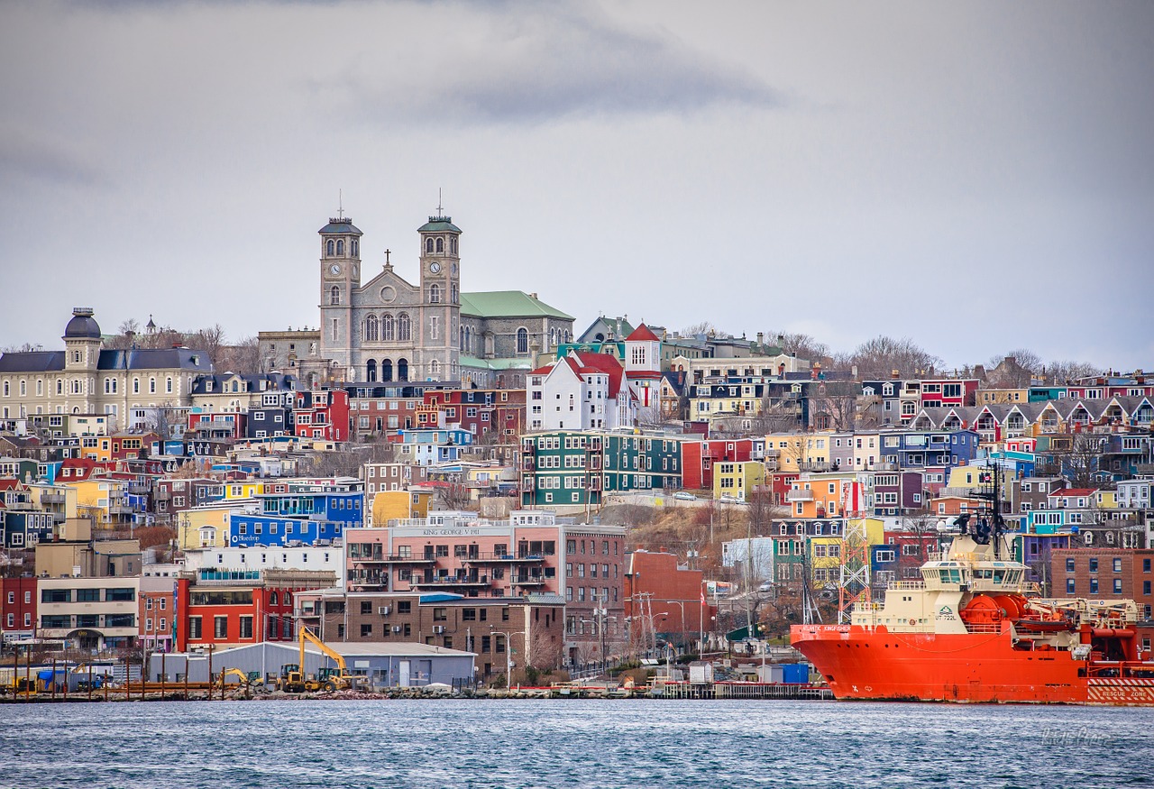 harbour downtown newfoundland free photo