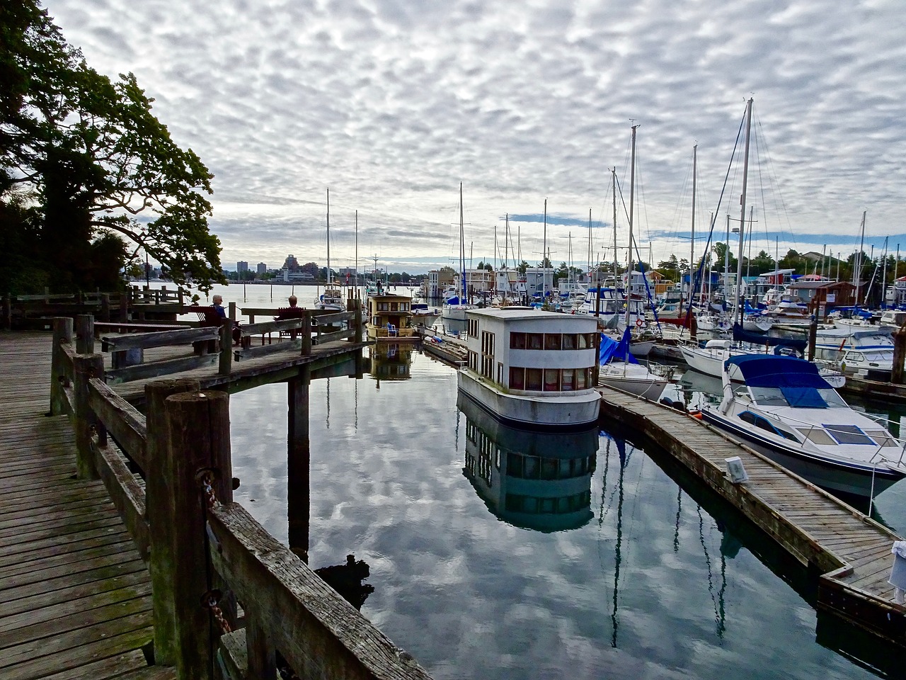 harbour esquimalt port free photo