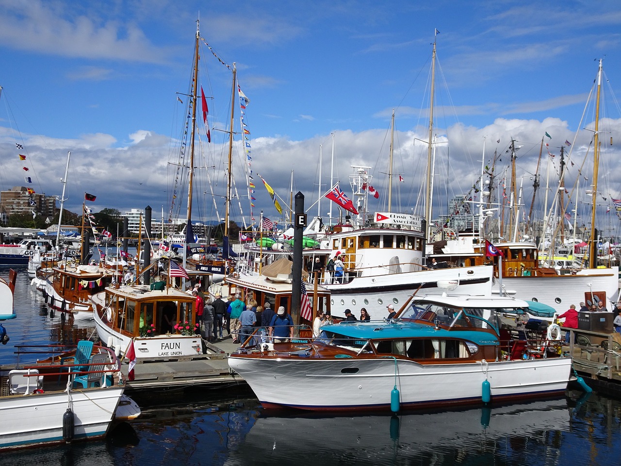 harbour boats yachts free photo