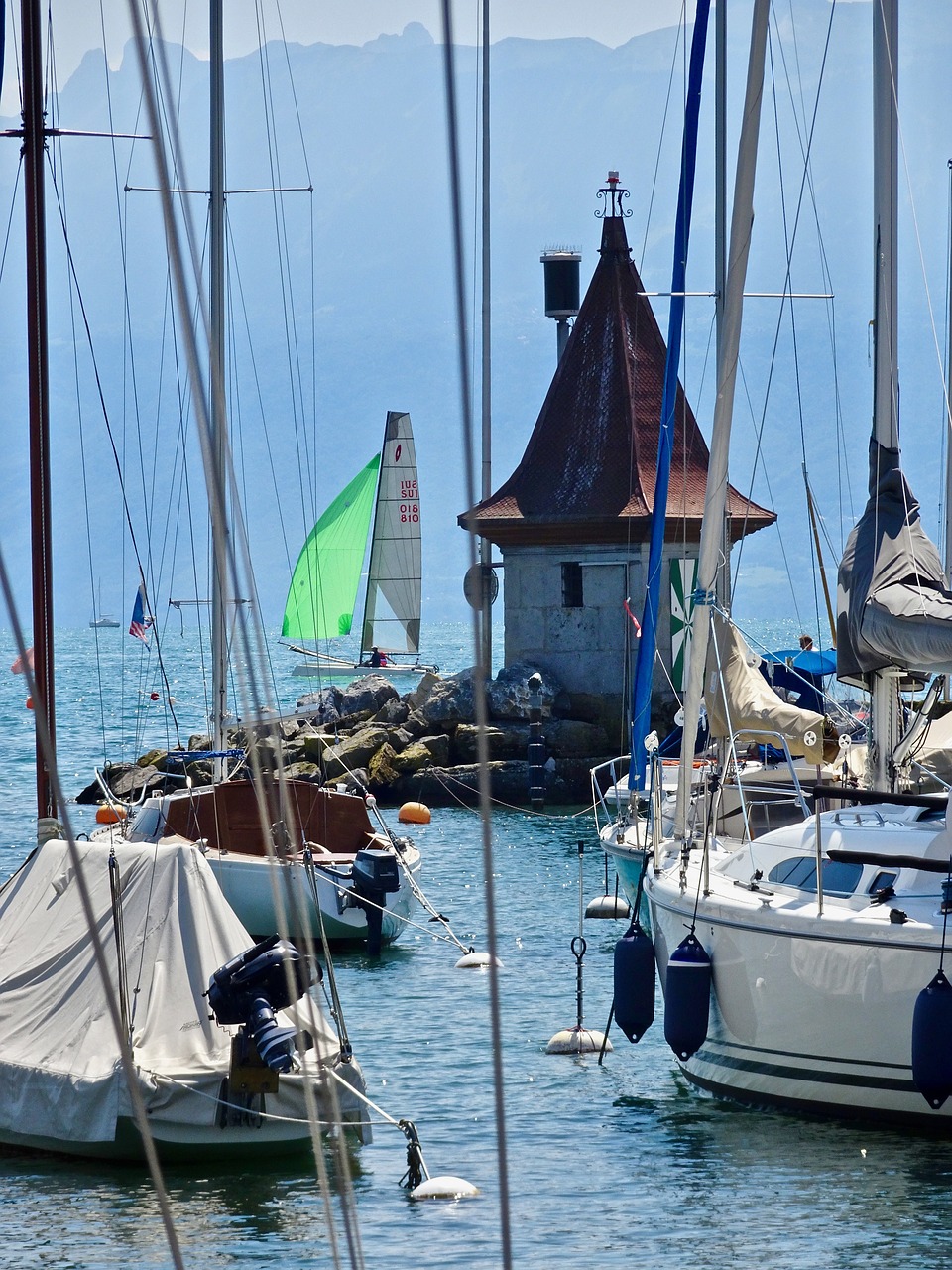 harbour  sailboats  yachts free photo