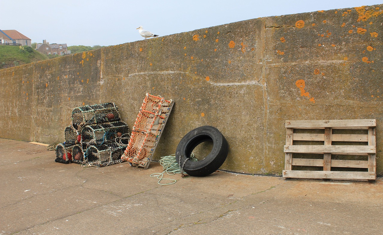 harbour  wall  creel free photo