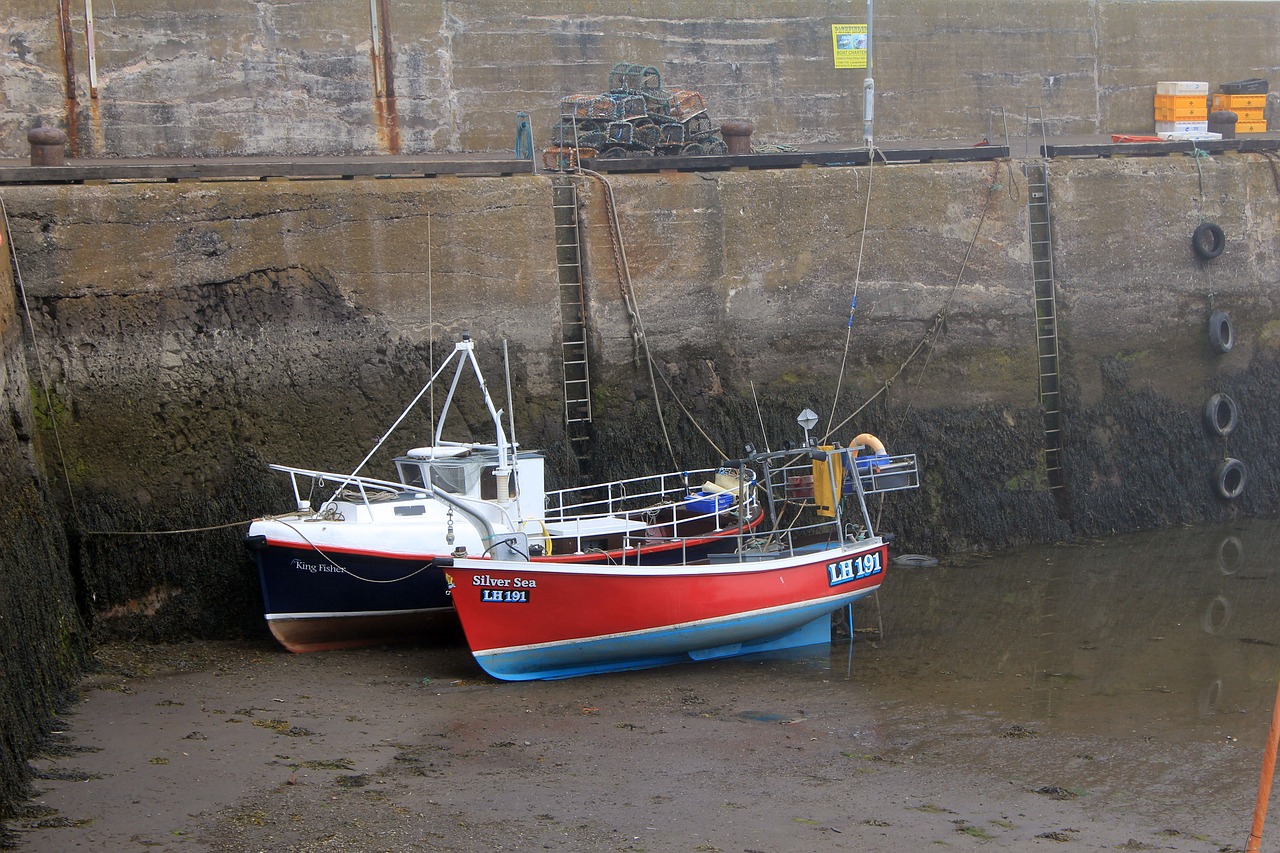 harbour  fishing village  creel pots free photo
