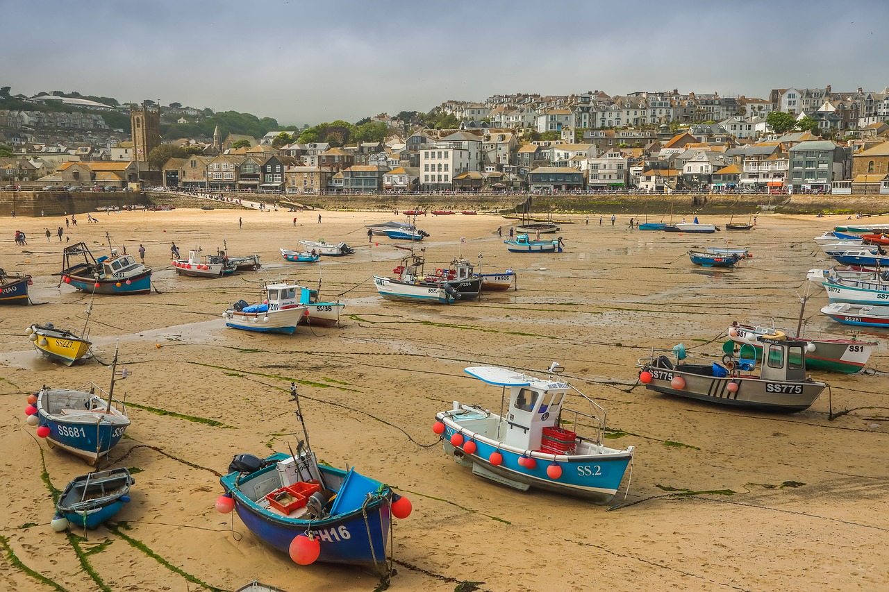 harbour  ships  town free photo