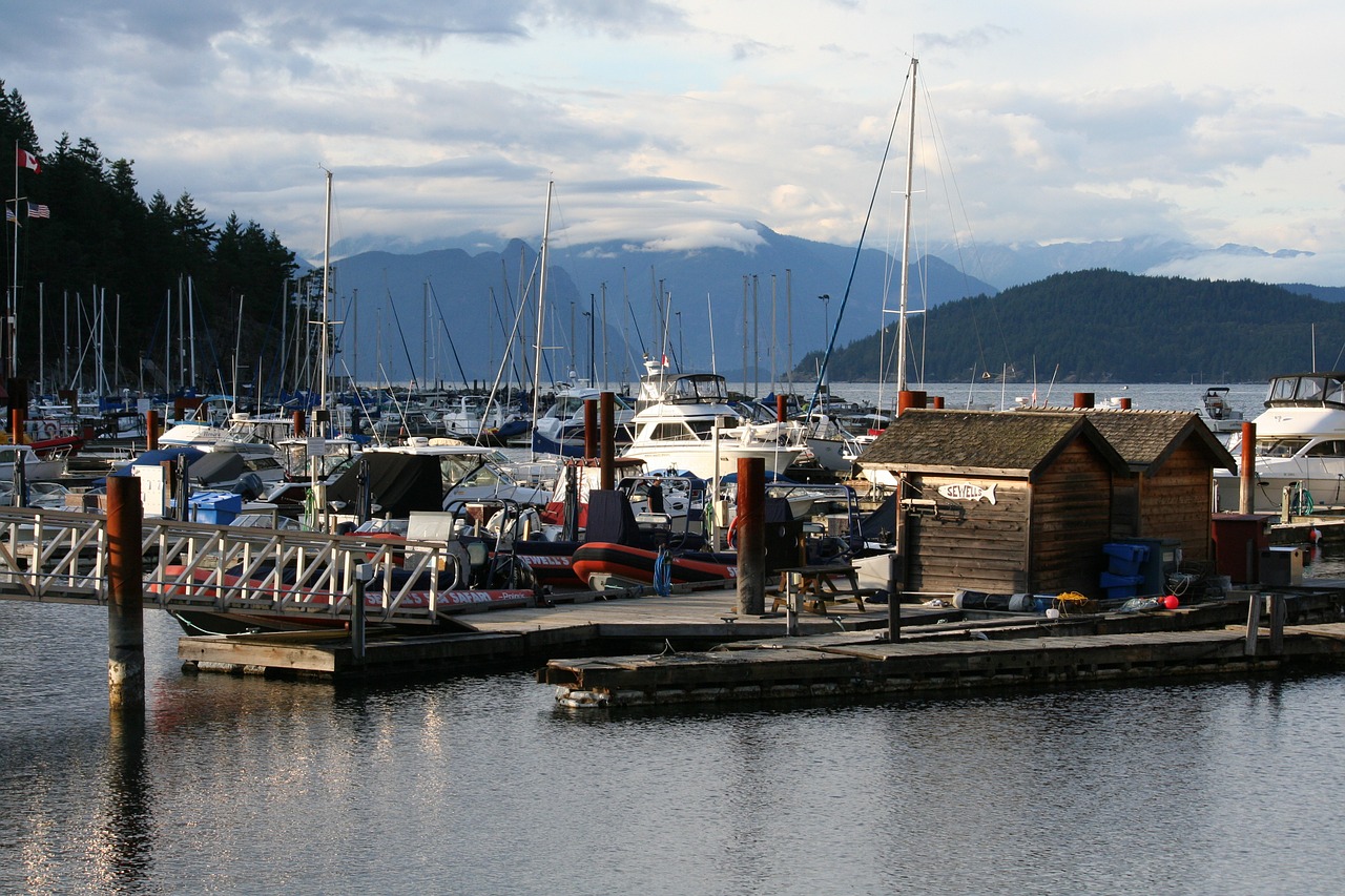 harbour seaside water free photo