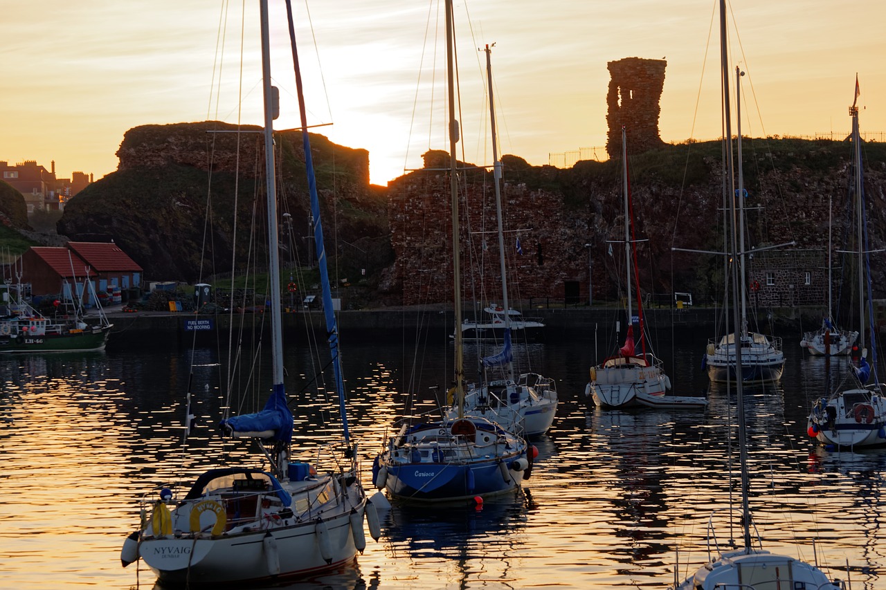 harbour boats sunset free photo