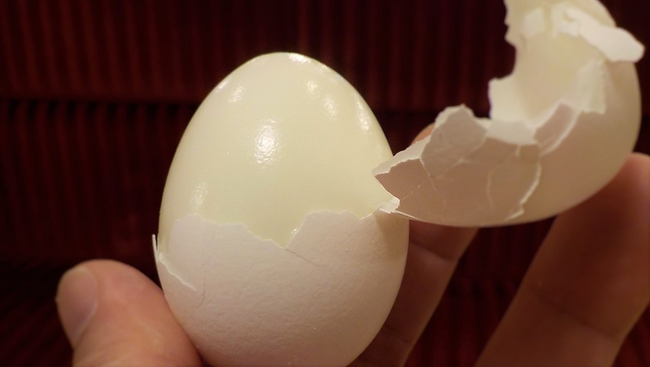 hard boiled eggs crack shell free photo