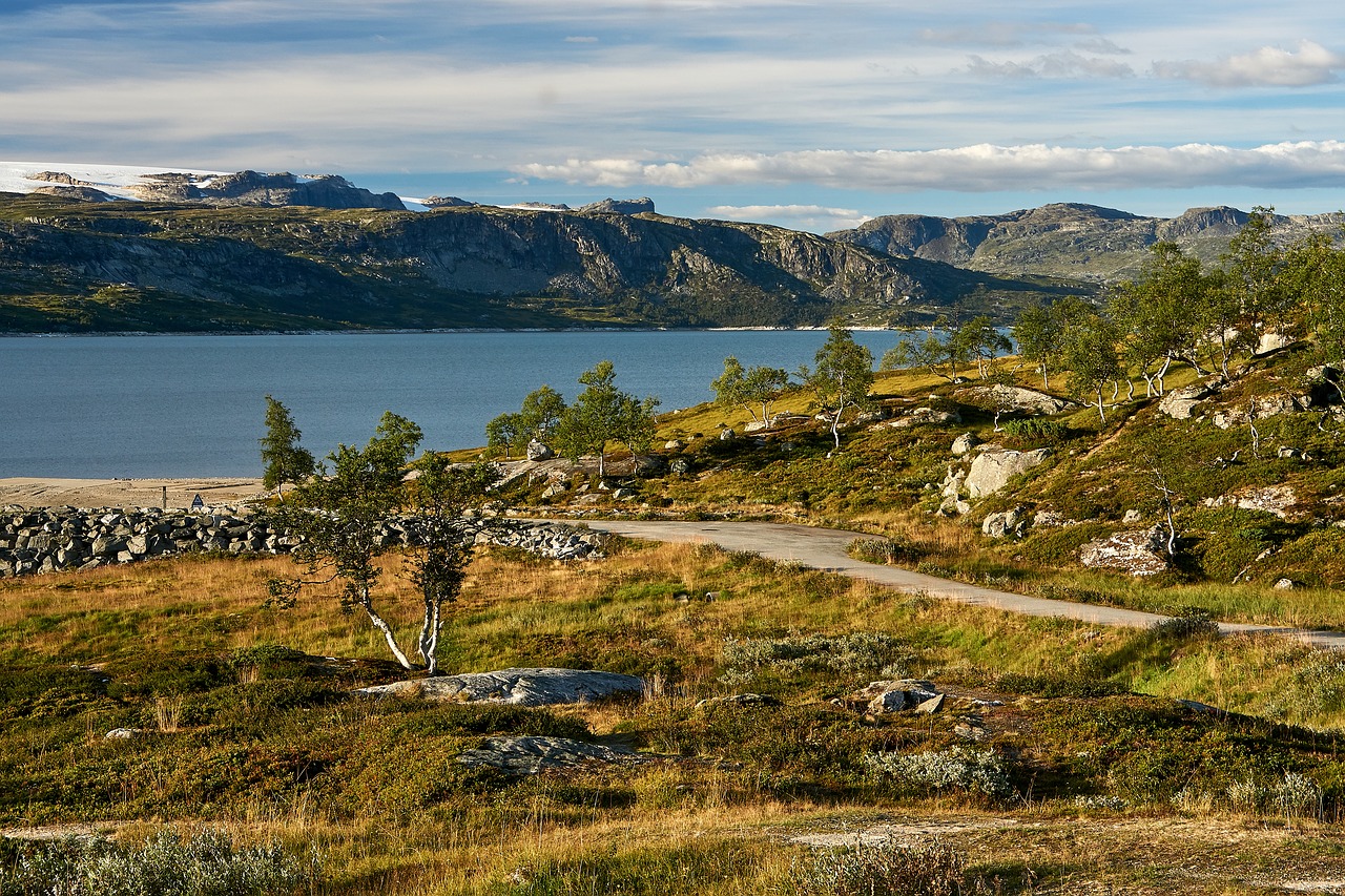 hardangervidda  highlands  norway free photo