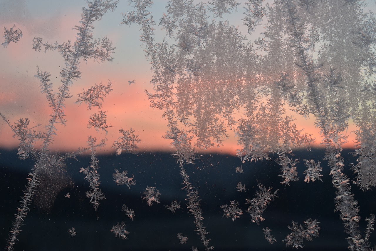 hardest frost winter free photo
