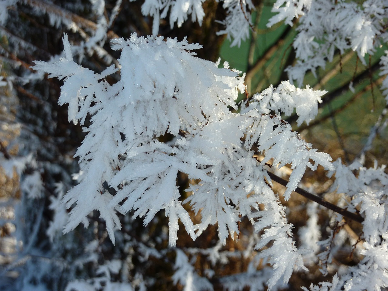 hardest eiskristalle frost free photo
