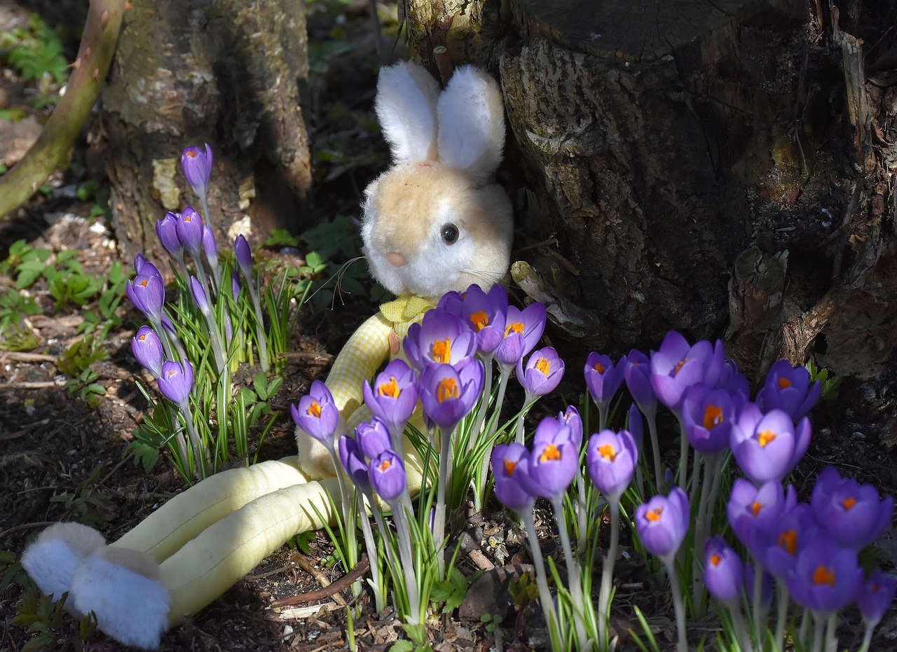 hare toys easter free photo