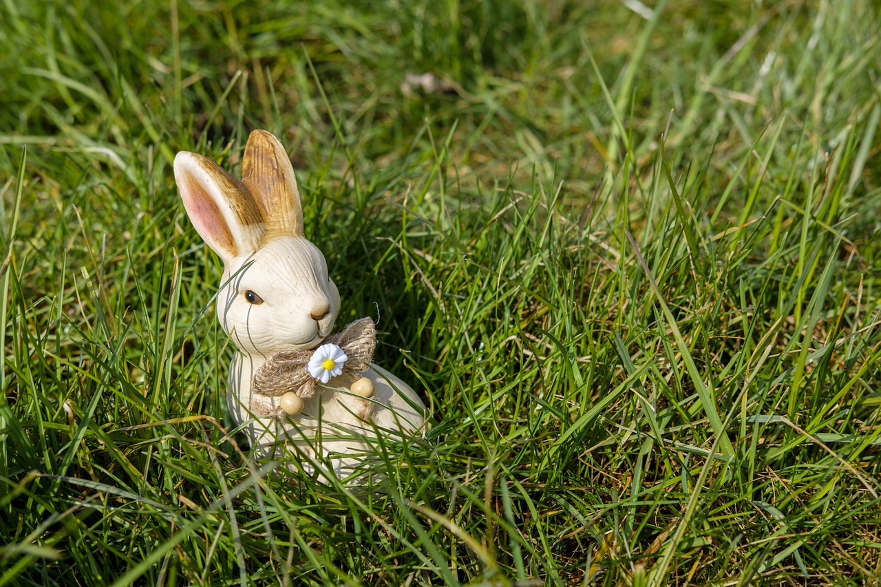 hare easter bunny easter free photo