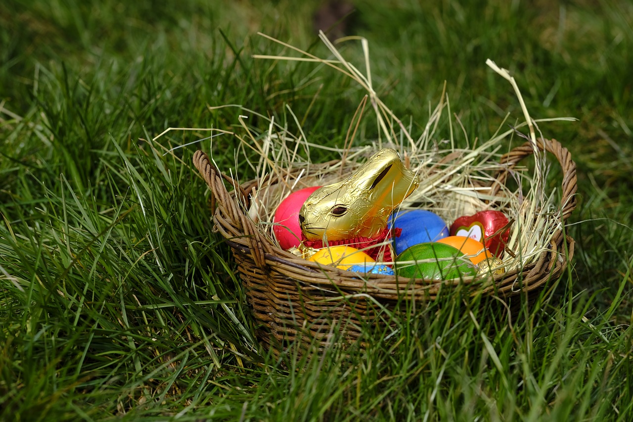 hare easter bunny easter eggs free photo