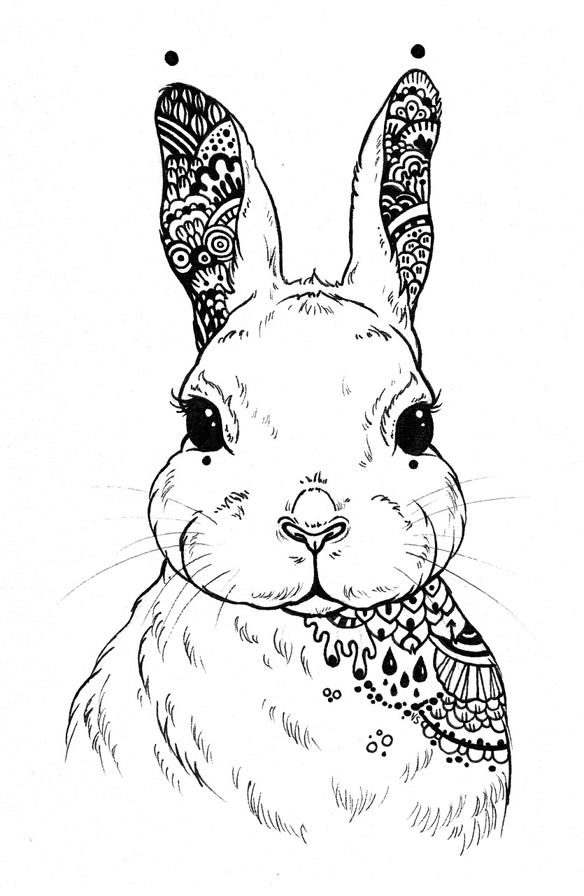 Hare, mandala, mandala illustration, mandala drawing, mandala art - free  image from 
