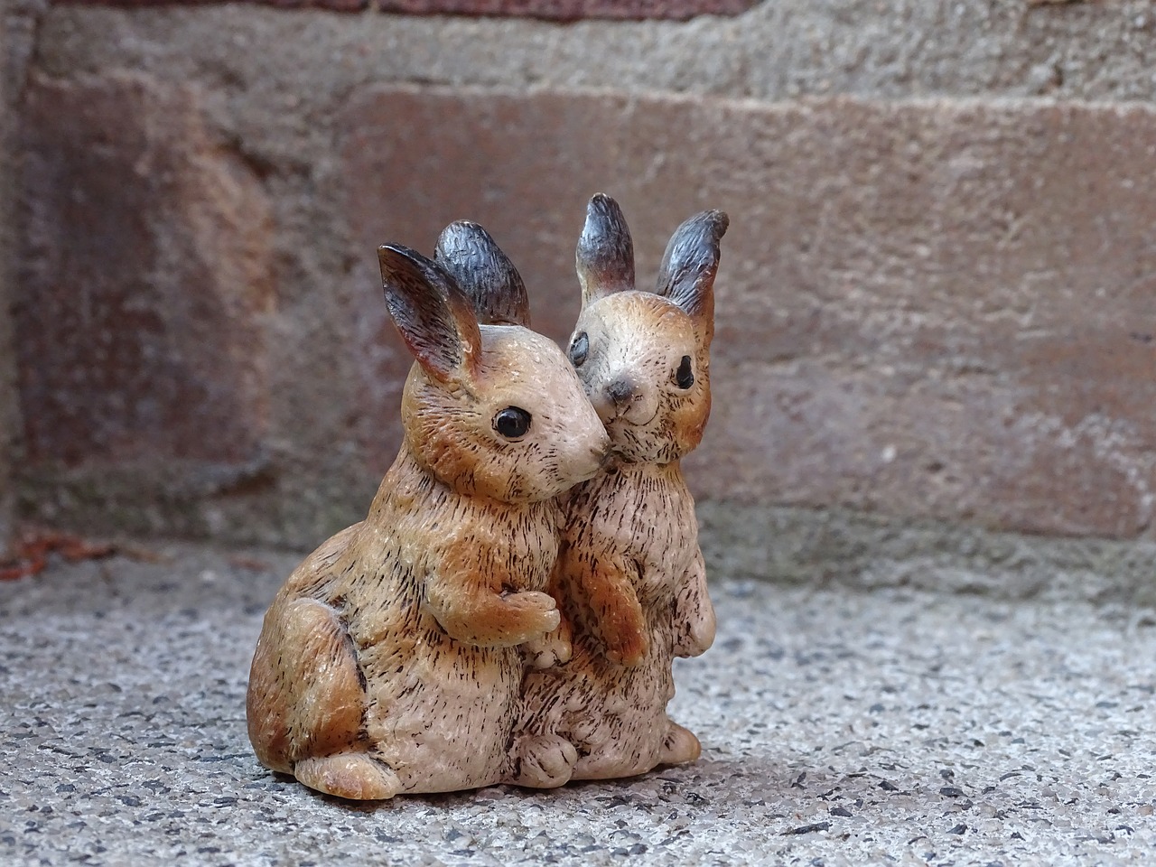 hare  bunny couple  couple free photo