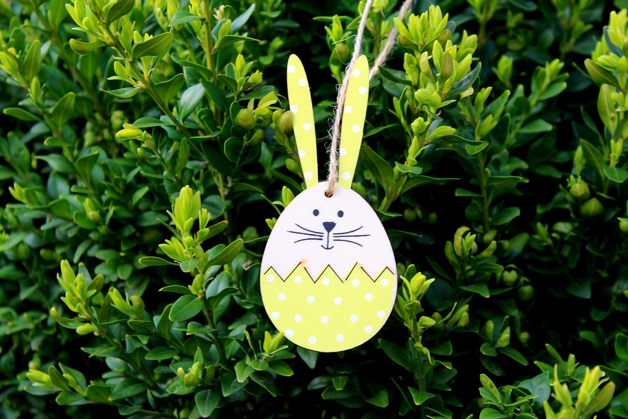 hare  decoration  easter free photo