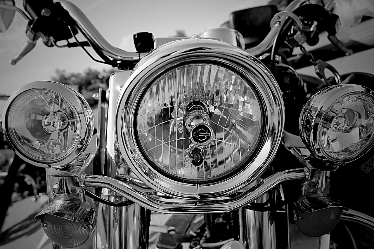 harley motorcycle harley davidson free photo