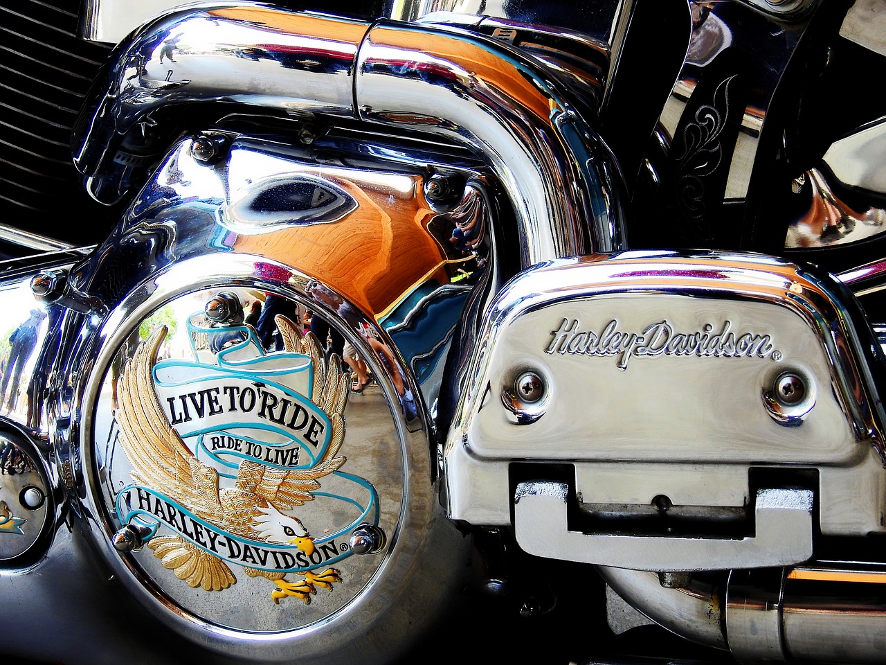 harley davidson harley davidson free photo