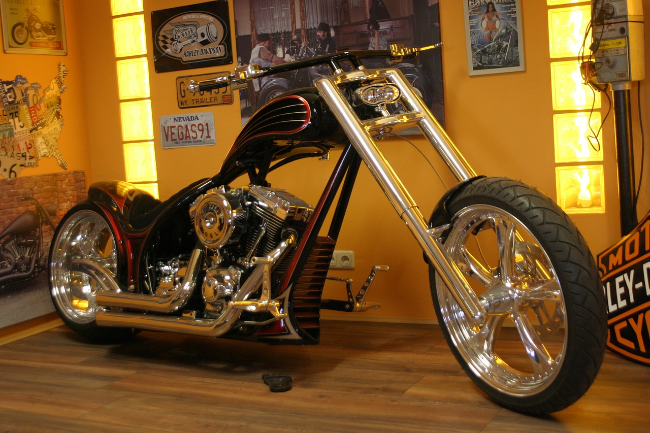 harley  harley davidson  davidson free photo