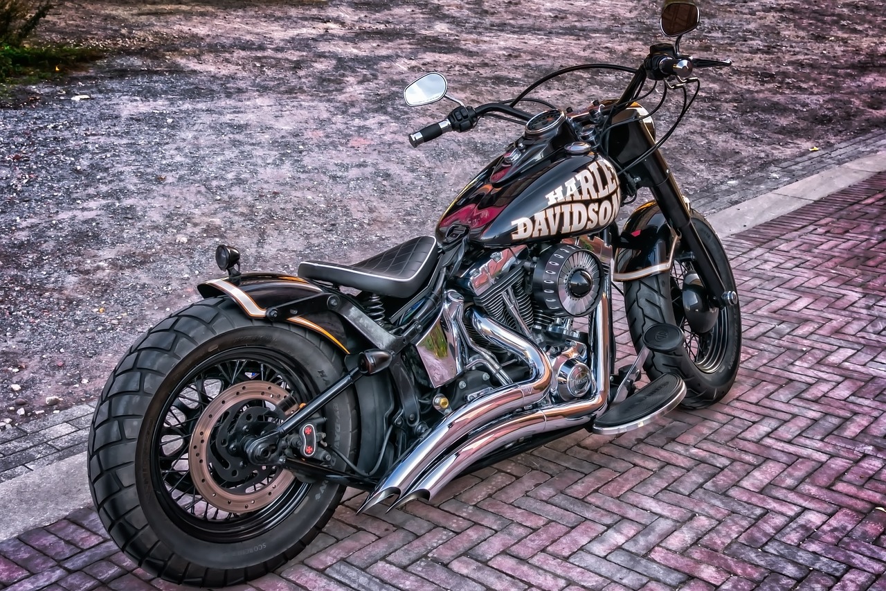 harley  harley davidson  motorcycle free photo