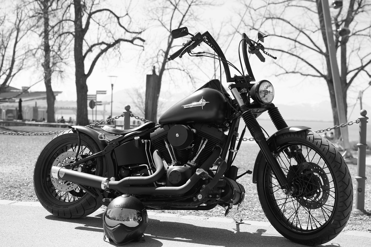 harley harley davidson motorcycle free photo