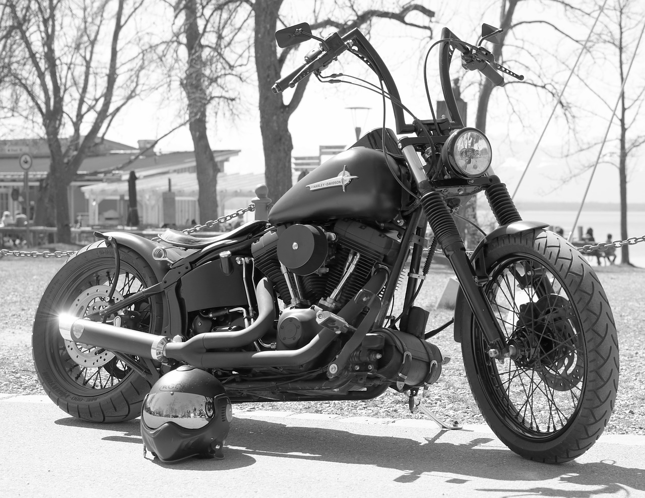Harley,harley davidson,motorcycle,bike,black - free image from needpix.com