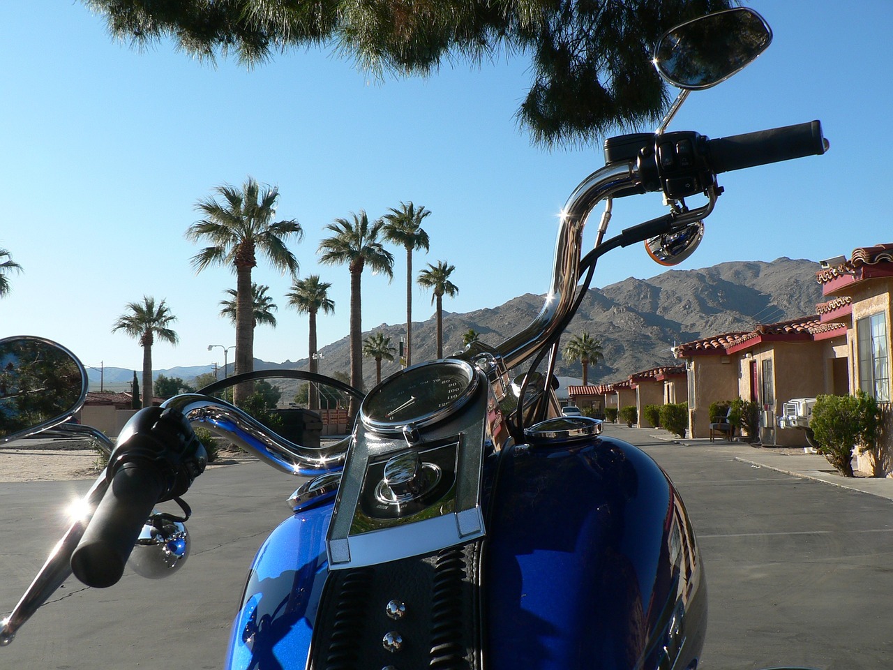 harley davidson usa south - west joshuha tree free photo