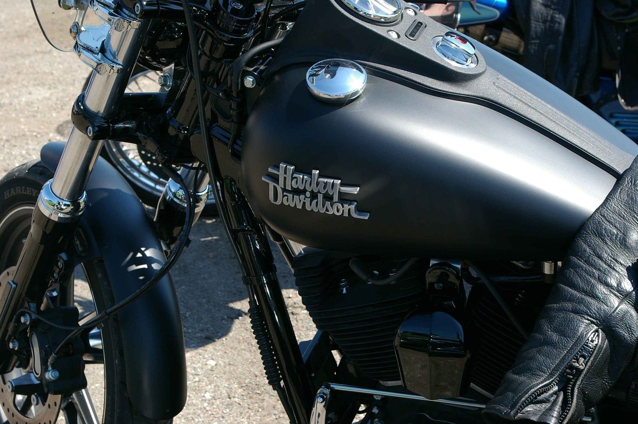 harley davidson motorcycle black free photo