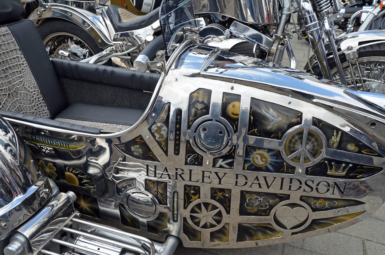 harley davidson harley motorcycle free photo