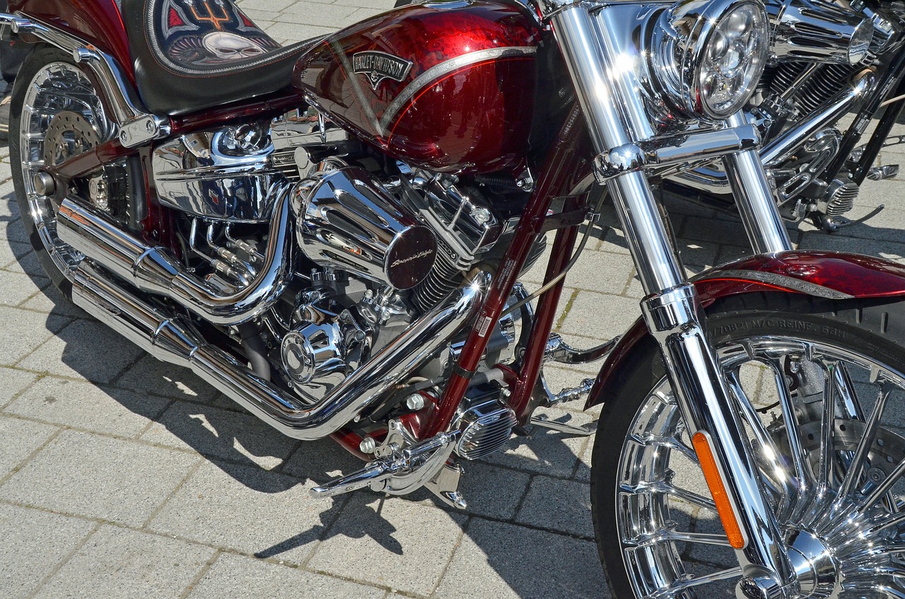 harley davidson harley motorcycle free photo