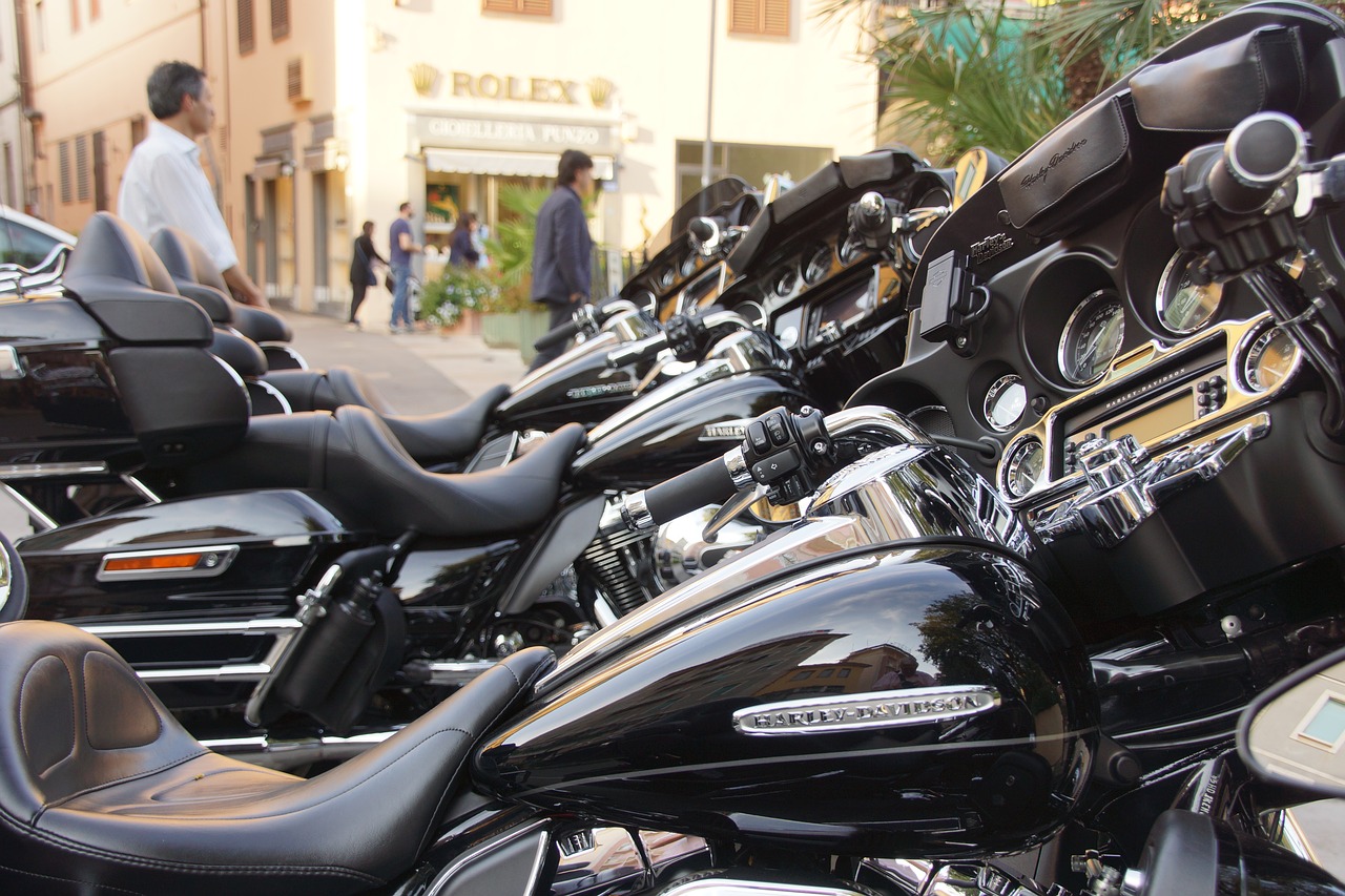 harley davidson motorcycle saddlebags free photo