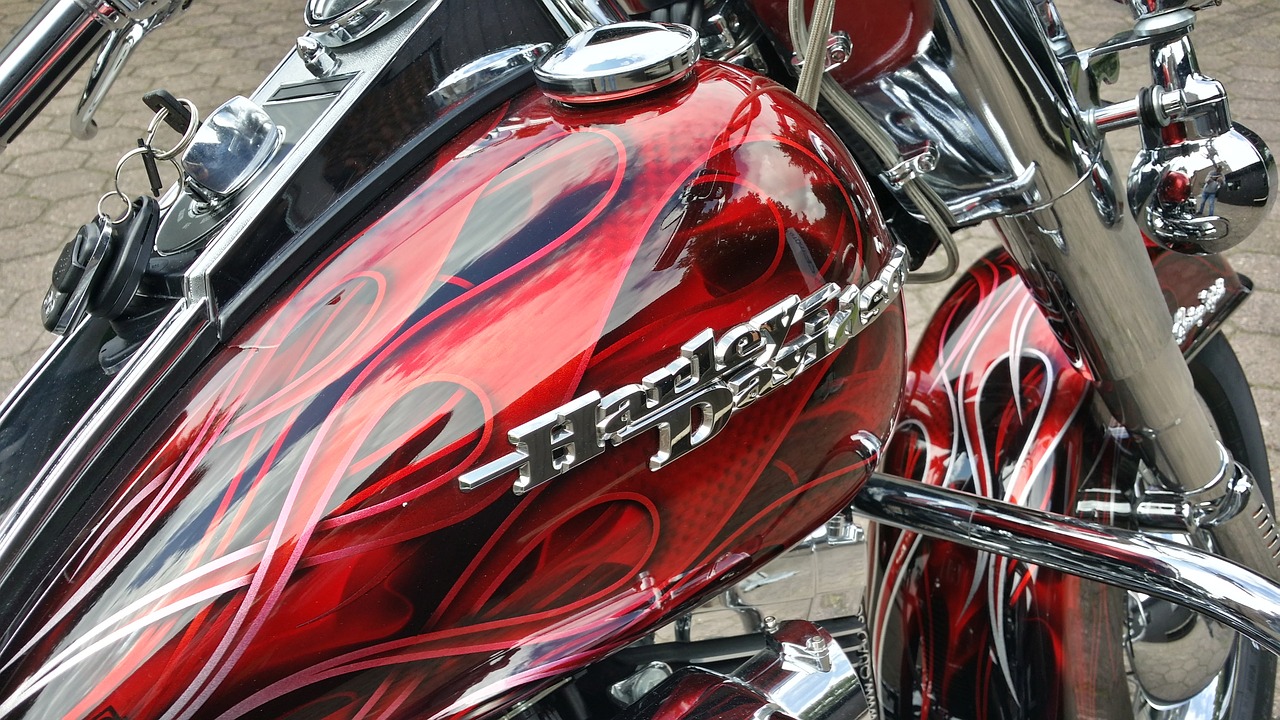 harley davidson motorcycle usa free photo