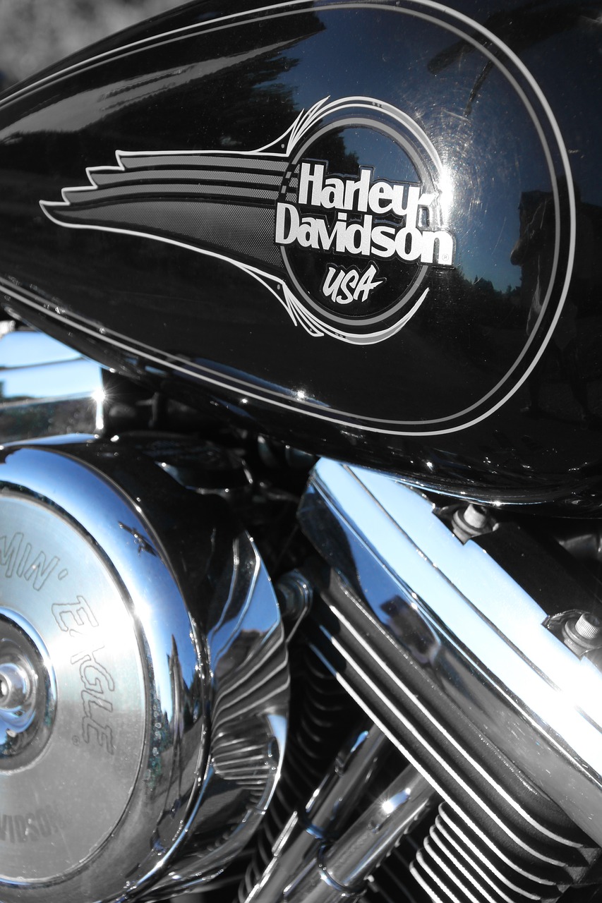 harley davidson motorcycle harley free photo